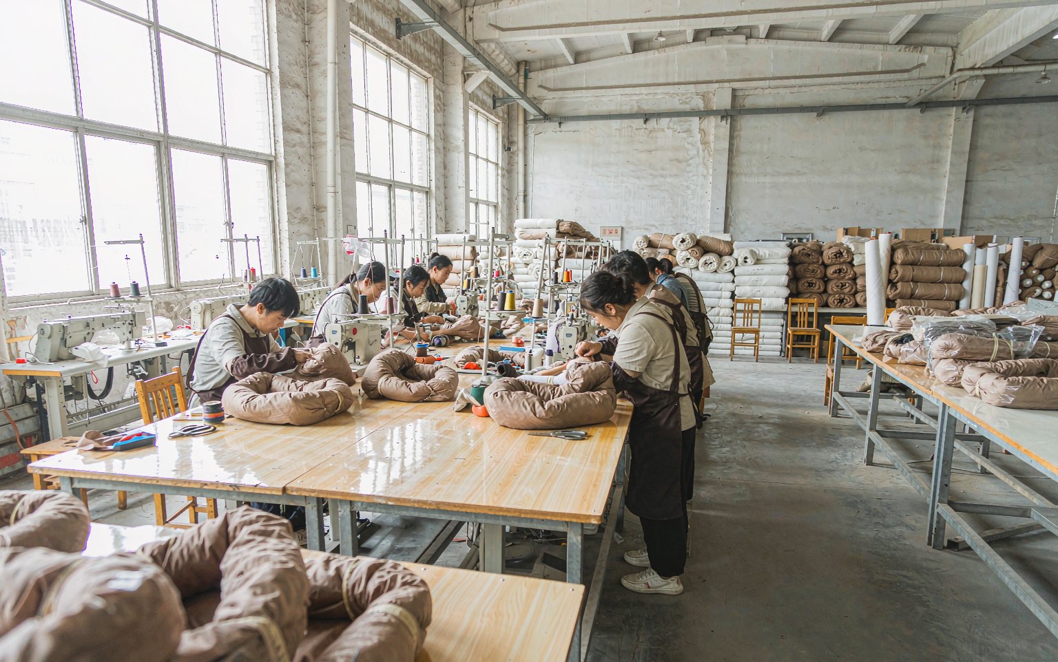 From artwork to container: how OEM pet products actually get made