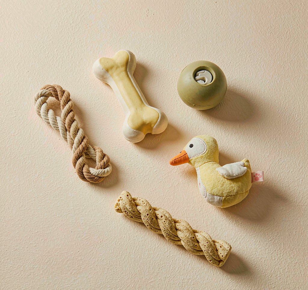 Rubber treat dispenser among dog toys
